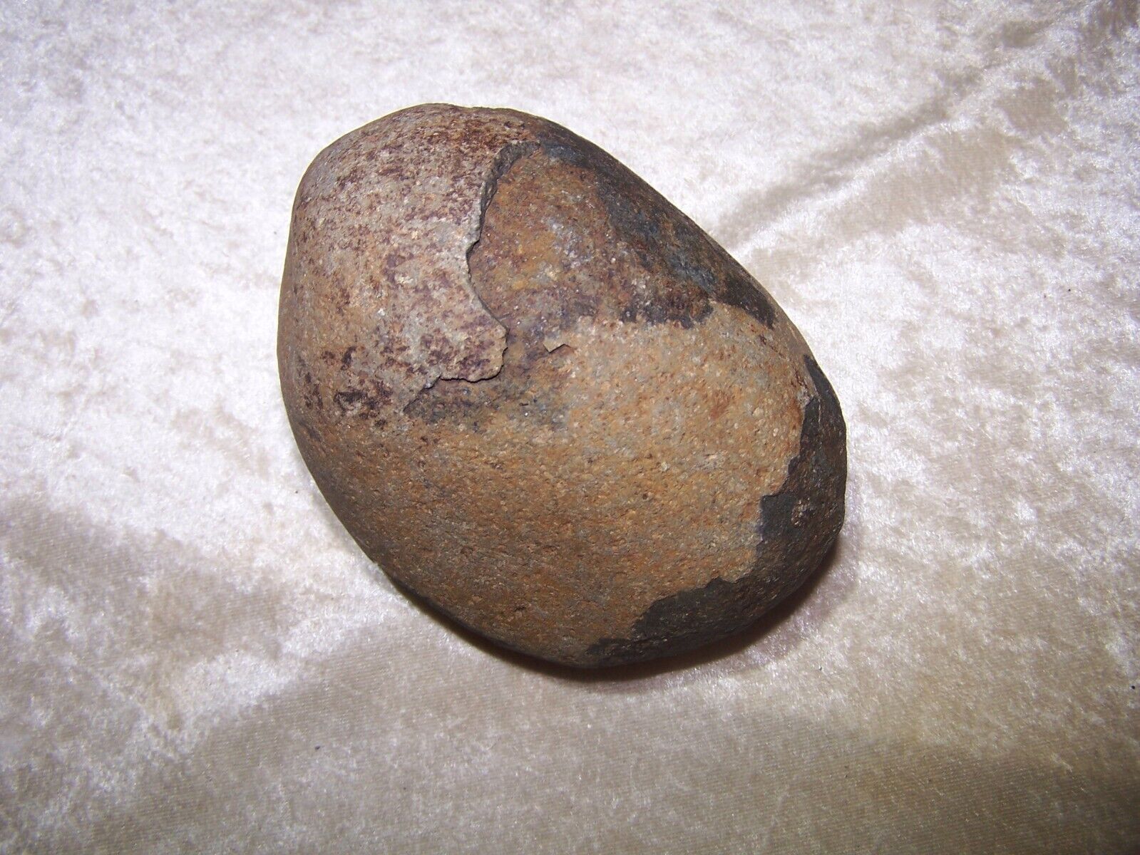 Large Prehistoric fossilized Dinosaur egg - 3 lbs. 5 inches.