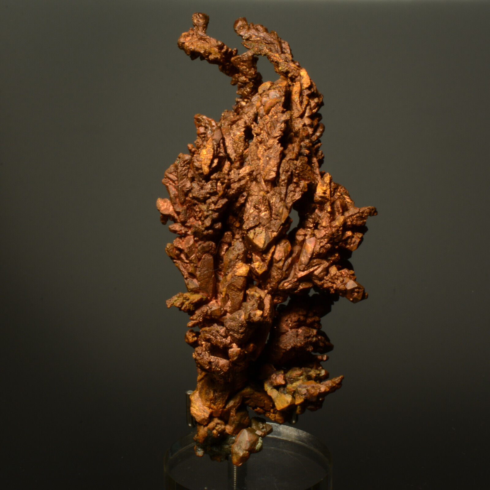 Native Copper Collector Mineral Specimen from Onganja Mine, Namibia