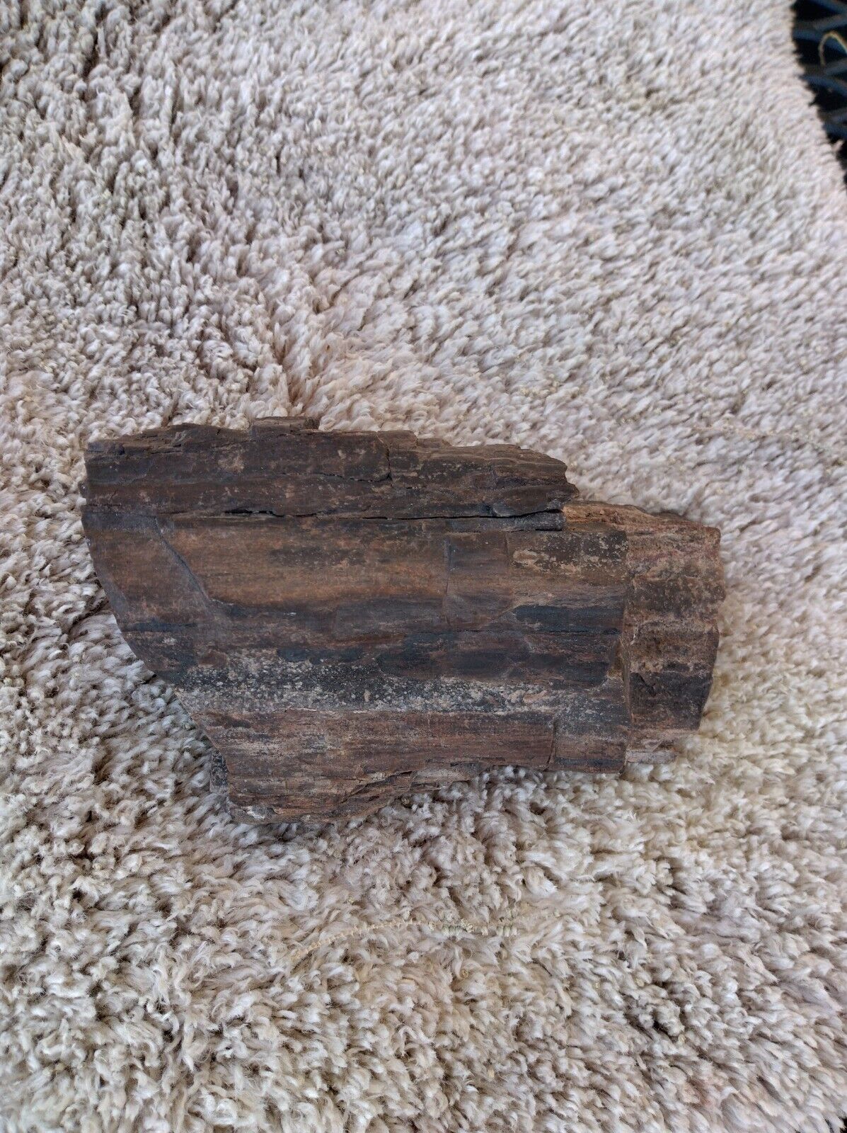 Petrified wood half log that's crystallize it's a beautiful piece 