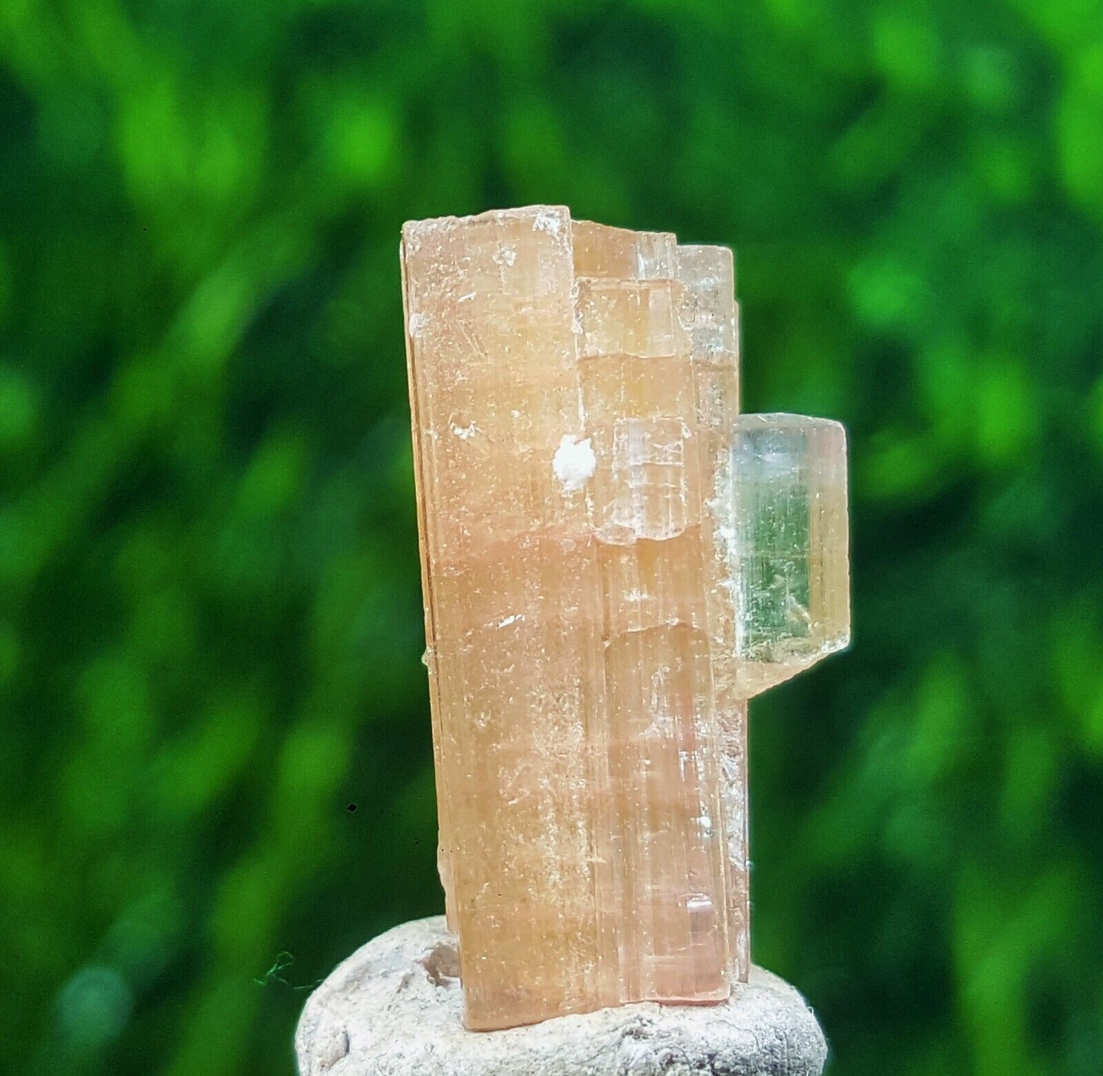 9.80 Carat Tourmaline Bi Color Rare Crystal From Paprok Norsitan Afg