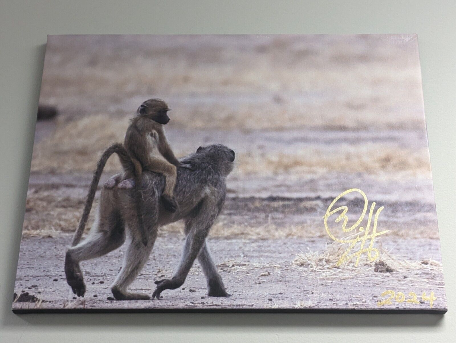 2024 ZAMBIA Signed 16X20 CANVAS Print #d 1/1 BABOON Are We There Yet? by BC Mixx