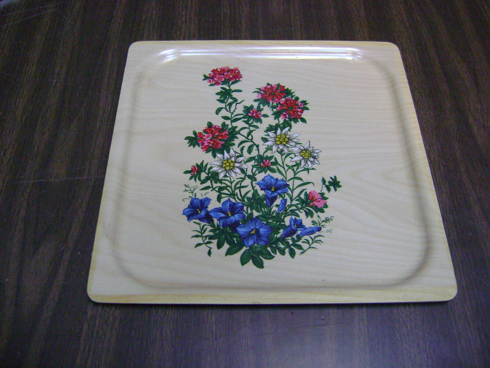 Vintage Swiss Made Serving Tray Platter PLATEX REUGE STE-CROIX