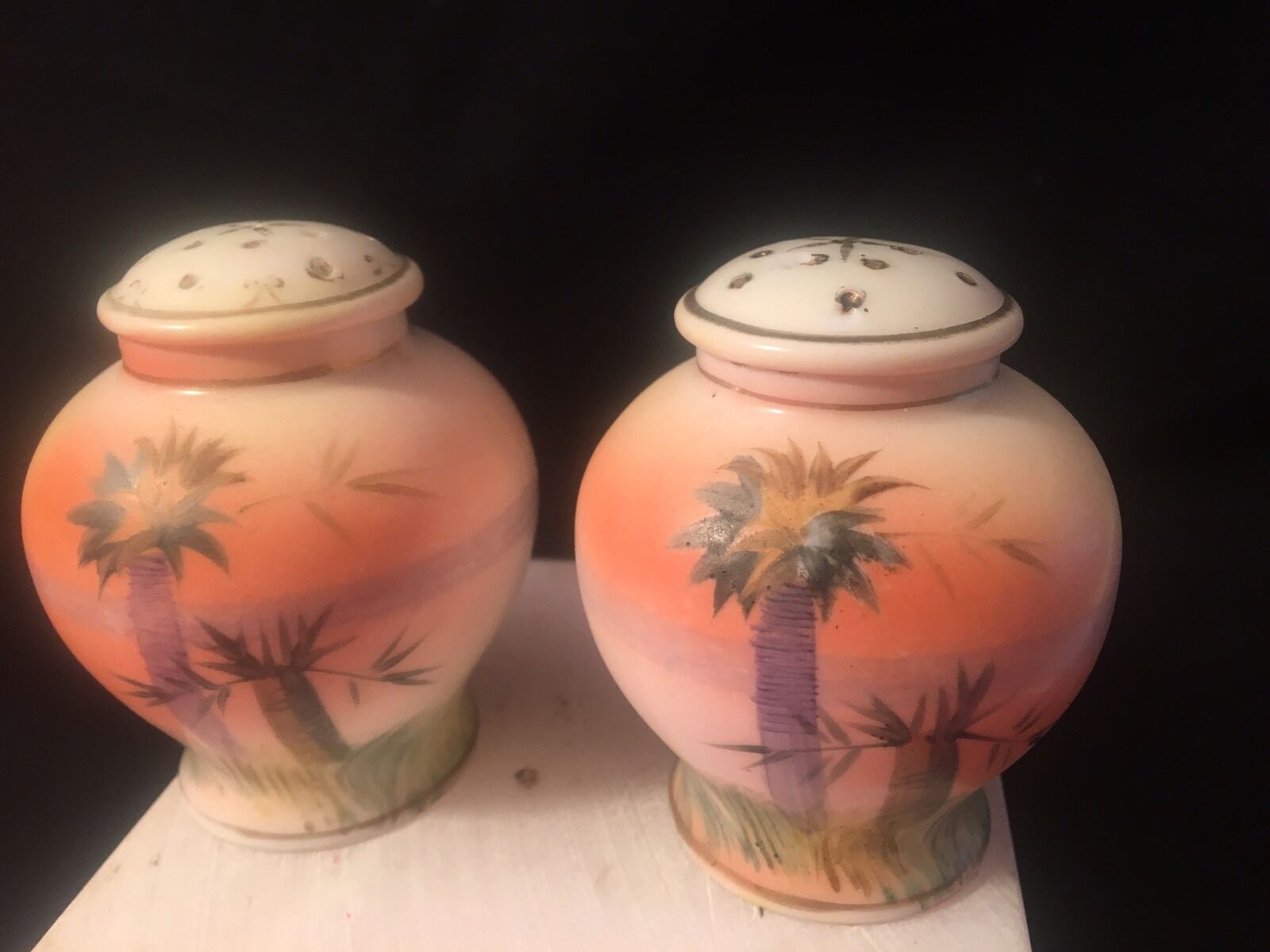 NIPPON Hand Painted Salt And Pepper Shakers - Vintage
