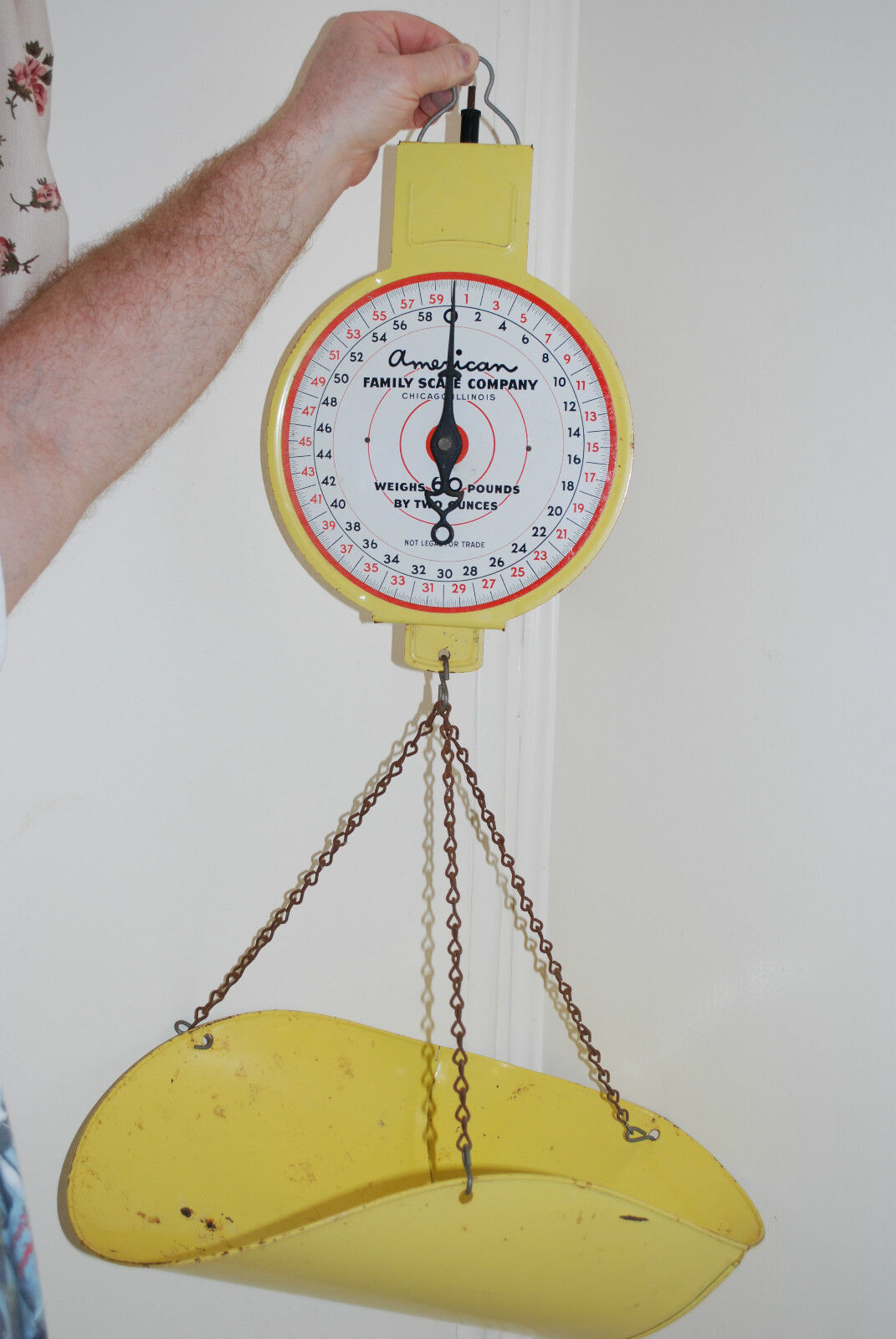 VINTAGE AMERICAN FAMILY SCALE COMPANY PRODUCE HANGING SCALE 60 LB 