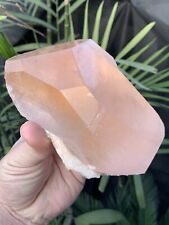 Stunning Quality Morganite Crystal From Kunar Afghanistan picture
