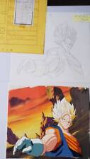 Dragon Ball Z Animation cel /Douga/Record of Drawing Set. Super Saiyan 4 Vegetto picture