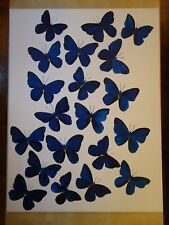 BLUE BUTTERFLIES HUGE 30'' X 40'' PAINTING ON CANVAS BY COMIC ARTIST JAMES CHEN picture