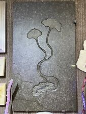 CRINOID DINOSAUR FOSSIL WALL DISPLAY HOME DECOR picture