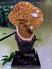270.6LB TOP Natural citrine flowers quartz carved crystal Decoration+stand picture