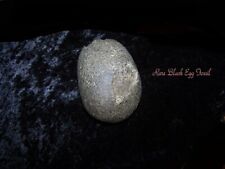 MUSEAUM GRADE TRICERATOPS EGG FOSSIL - Authentic Egg Fossil. RARE picture