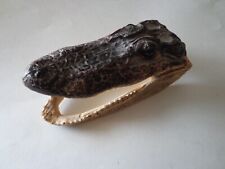 petrified alligator, real , 6x3x3 inches picture