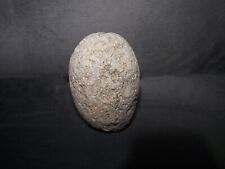 DINOSAUR EGG FOSSIL - 3.7 inches, larger sized, RARE picture