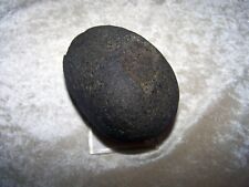RARE TRICERATOPS DINOSAUR EGG FOSSIL - WASHINGTON STATE QUINAULT INDIAN NATION picture