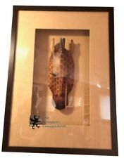 Giraffe Tribal Mask in Shadow Box Display Frame Carved Wood African  picture