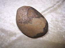 Large Prehistoric fossilized Dinosaur egg - 3 lbs. 5 inches. picture