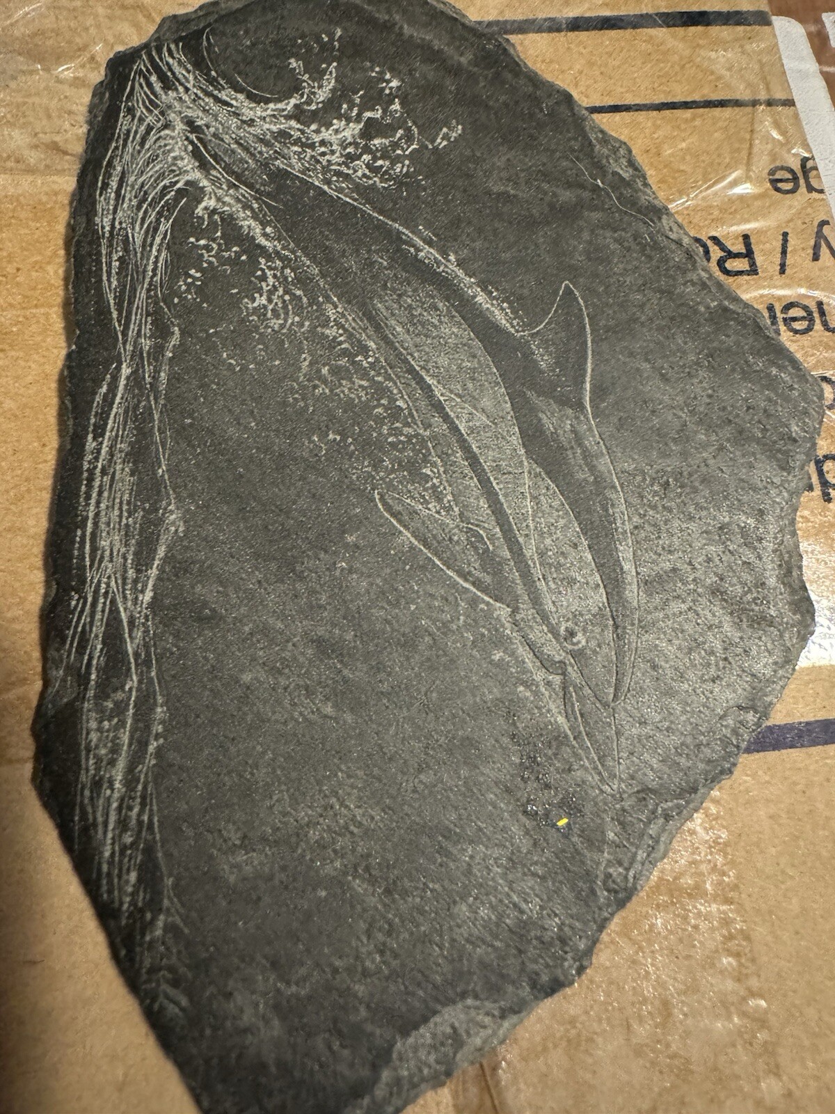 Rare Early Slate Art from Iolani Palace “Dolphin” Engraving – Post-1946 Fire Era