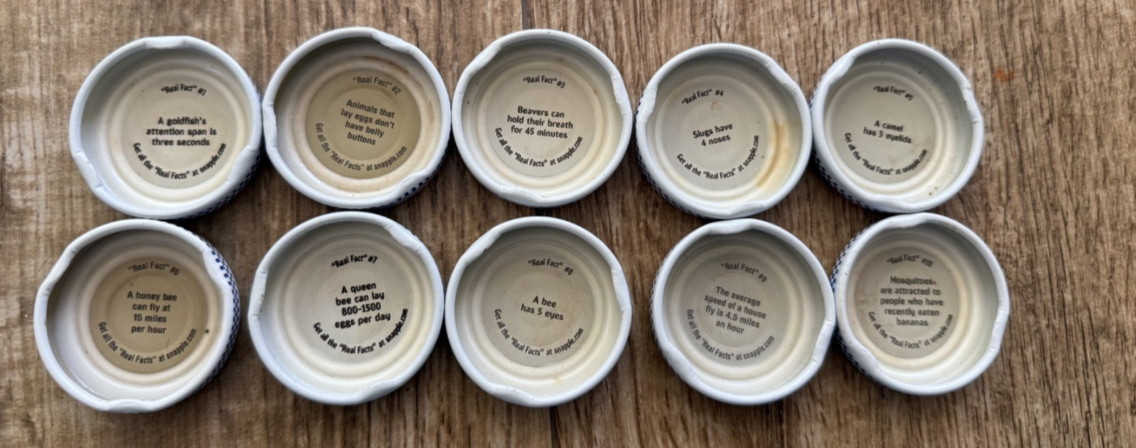 Rare Snapple Caps Complete Set #1–10 – Original “Real Facts” – Collectible Lot Rare Snapple Caps Complete Set #1–10 – Original “Real Facts” – Collectible Lot