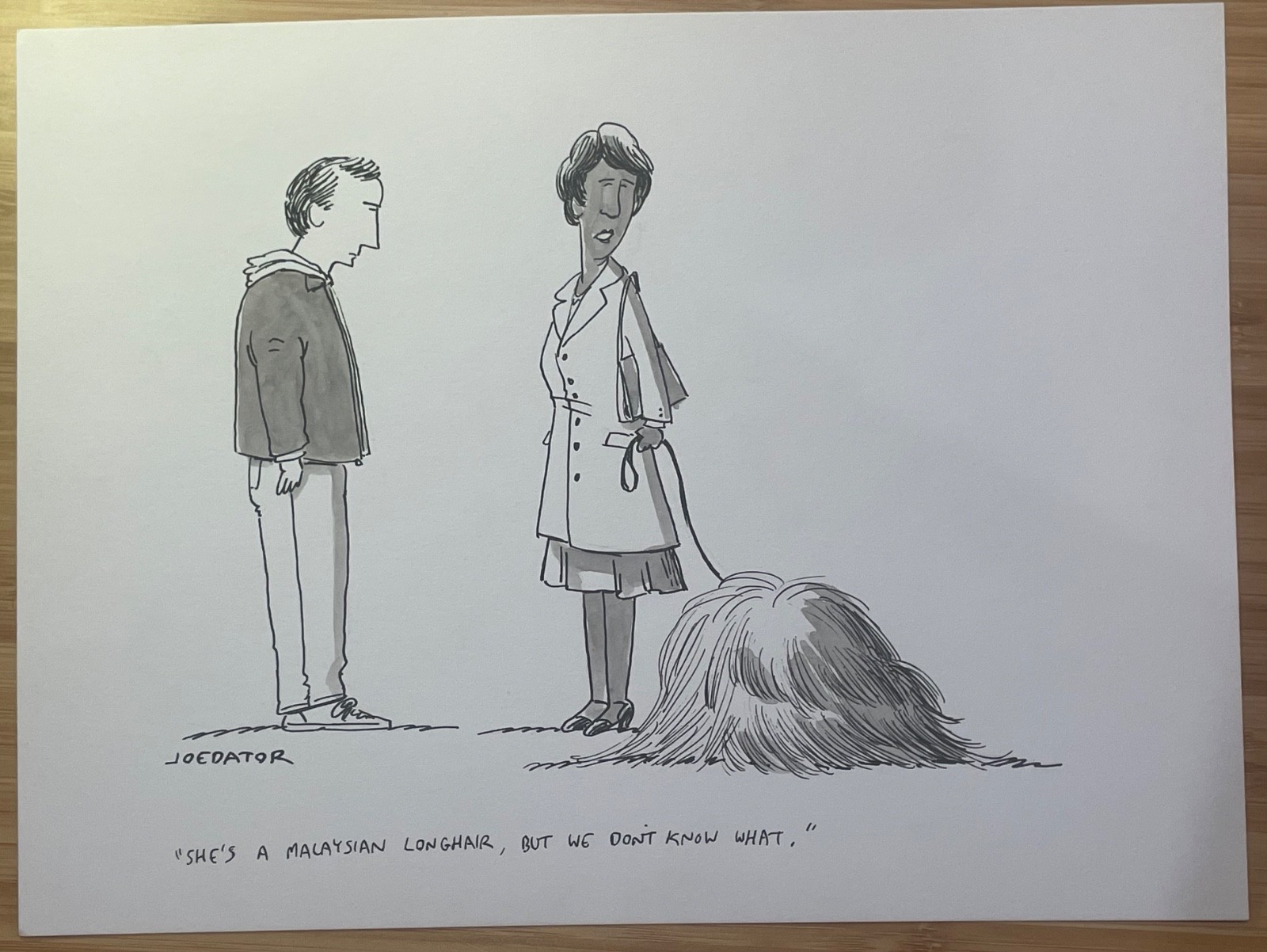 Original New Yorker Cartoon “She's a Malaysian Longhair.” By Joe Dator Original New Yorker Cartoon “She's a Malaysian Longhair.” By Joe Dator