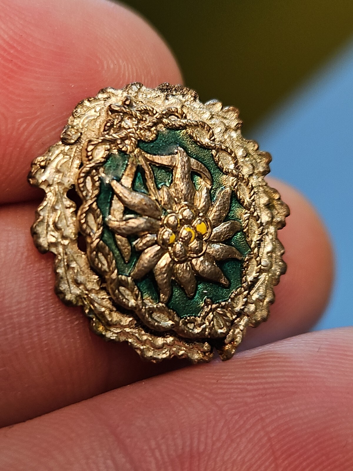 rare 1st Mountain Division Wehrmacht German WW2 Edelweiss Gebirgsjager Pin 19d34 rare 1st Mountain Division Wehrmacht German WW2 Edelweiss Gebirgsjager Pin 19d34