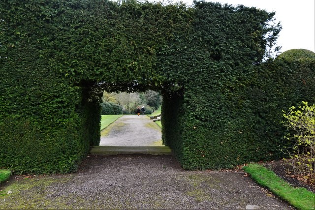 Photo A2 Weston Park: Access to the park through an exceedingly thick he c2018