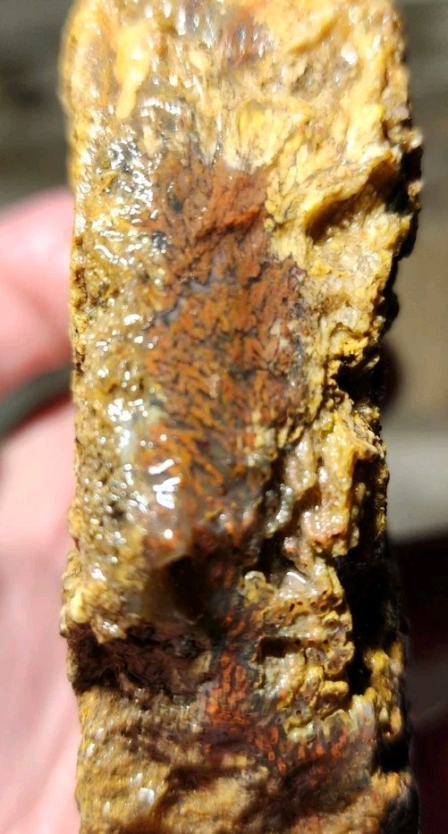 Old Stock Powell Butte Plume Agate Lapidary Cutting Rough Vein Chunk (362 grams) Old Stock Powell Butte Plume Agate Lapidary Cutting Rough Vein Chunk (362 grams)