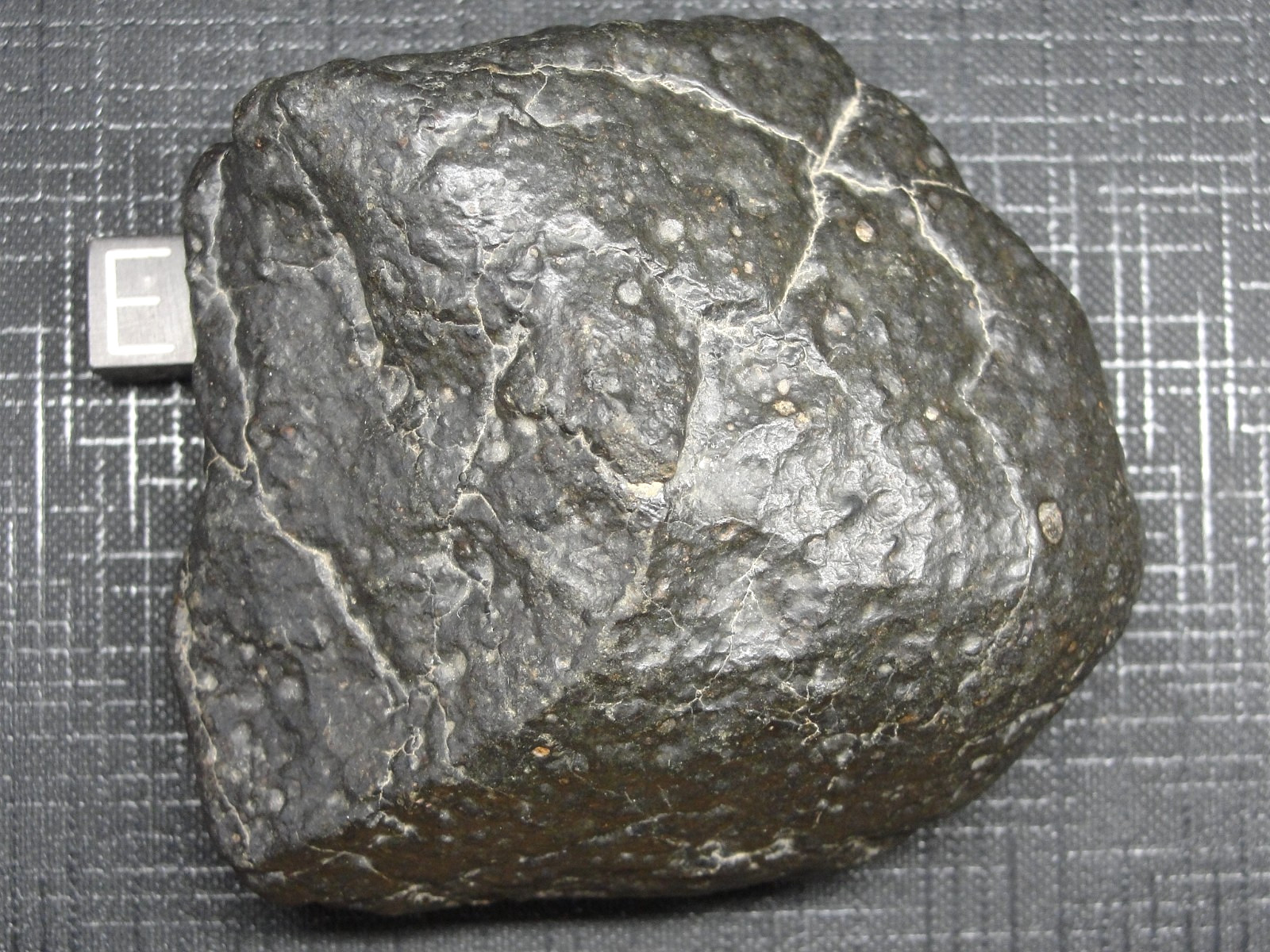 NWA 15937 Carbonaceous CO3.05 Chondrite - G741-001 - 236.0g MAIN MASS - 100 CLUB