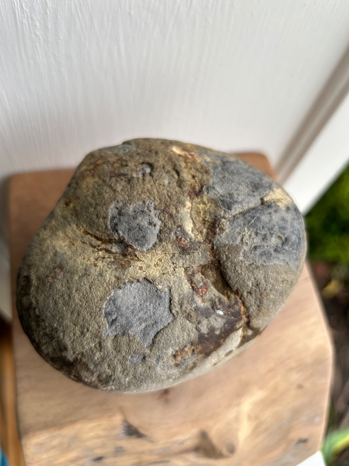 rock/fossil that looks to be from a giant human rock/fossil that looks to be from a giant human