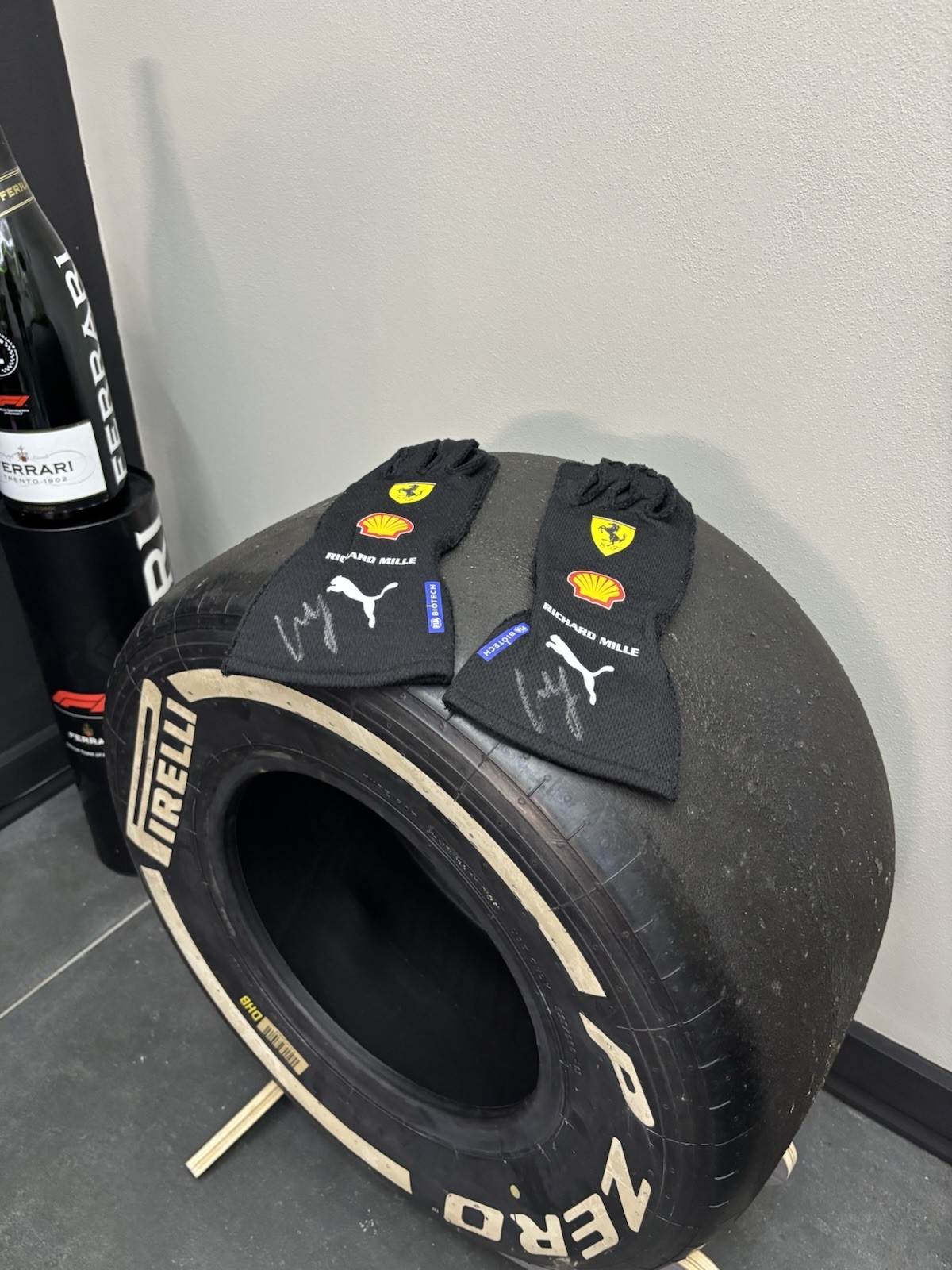 Carlos Sainz J. 2024 Gloves🏁🏎️ Autographed