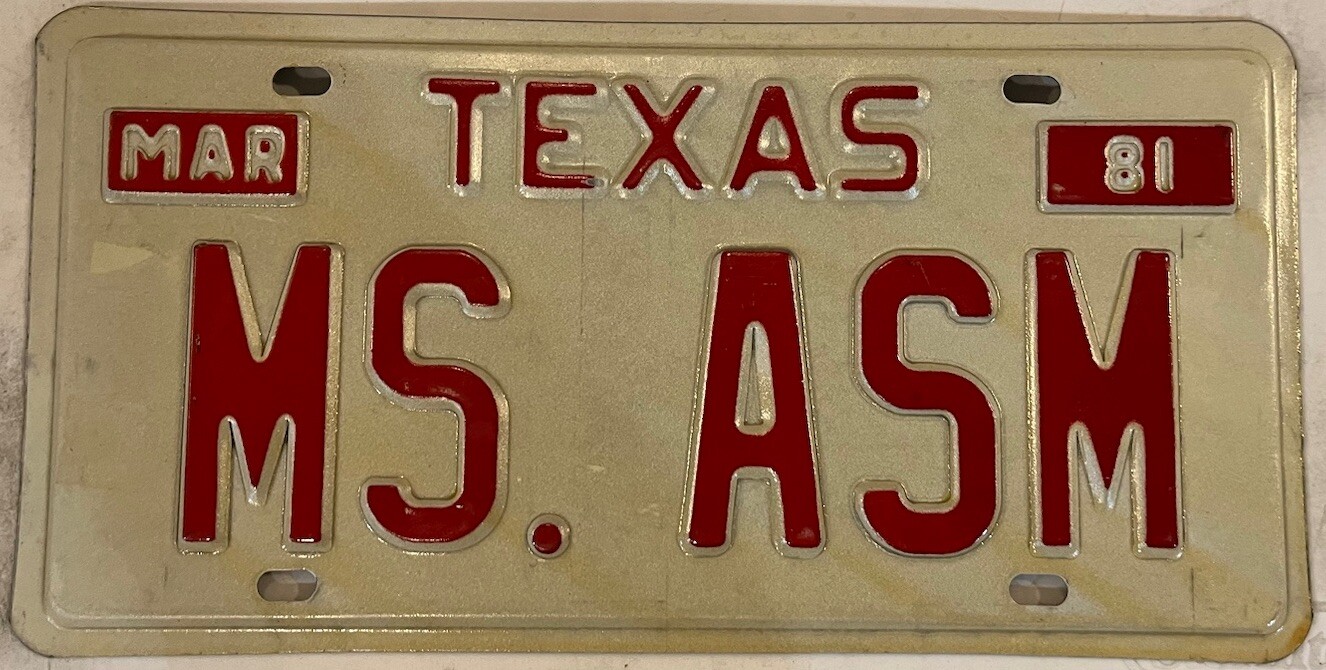 Vanity MISS ASM license plate Amy Anna Amelia Ava Audrey Allison Abigail Alice Vanity MISS ASM license plate Amy Anna Amelia Ava Audrey Allison Abigail Alice