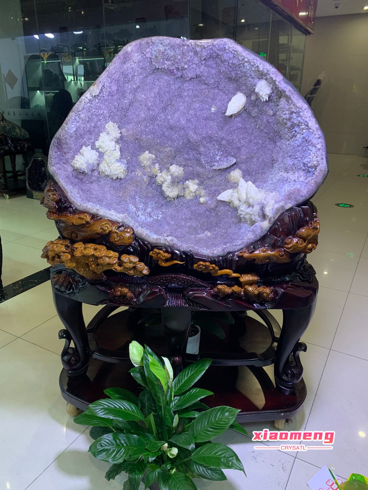 998LBNatural Uruguayan premium purple pink gummy cave+base 998LBNatural Uruguayan premium purple pink gummy cave+base
