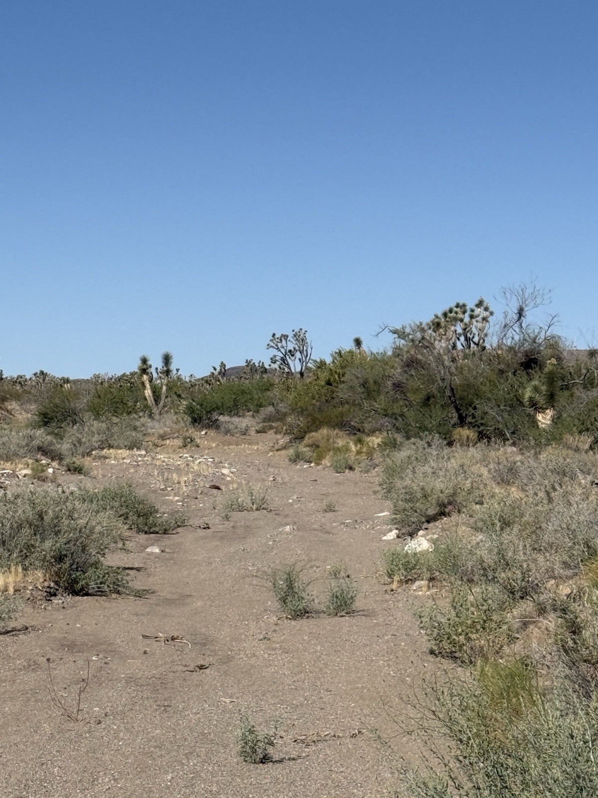 Placer Gold Mine On 10 acres Of Private Land Real Estate Off Grid Acreage Placer Gold Mine On 10 acres Of Private Land Real Estate Off Grid Acreage