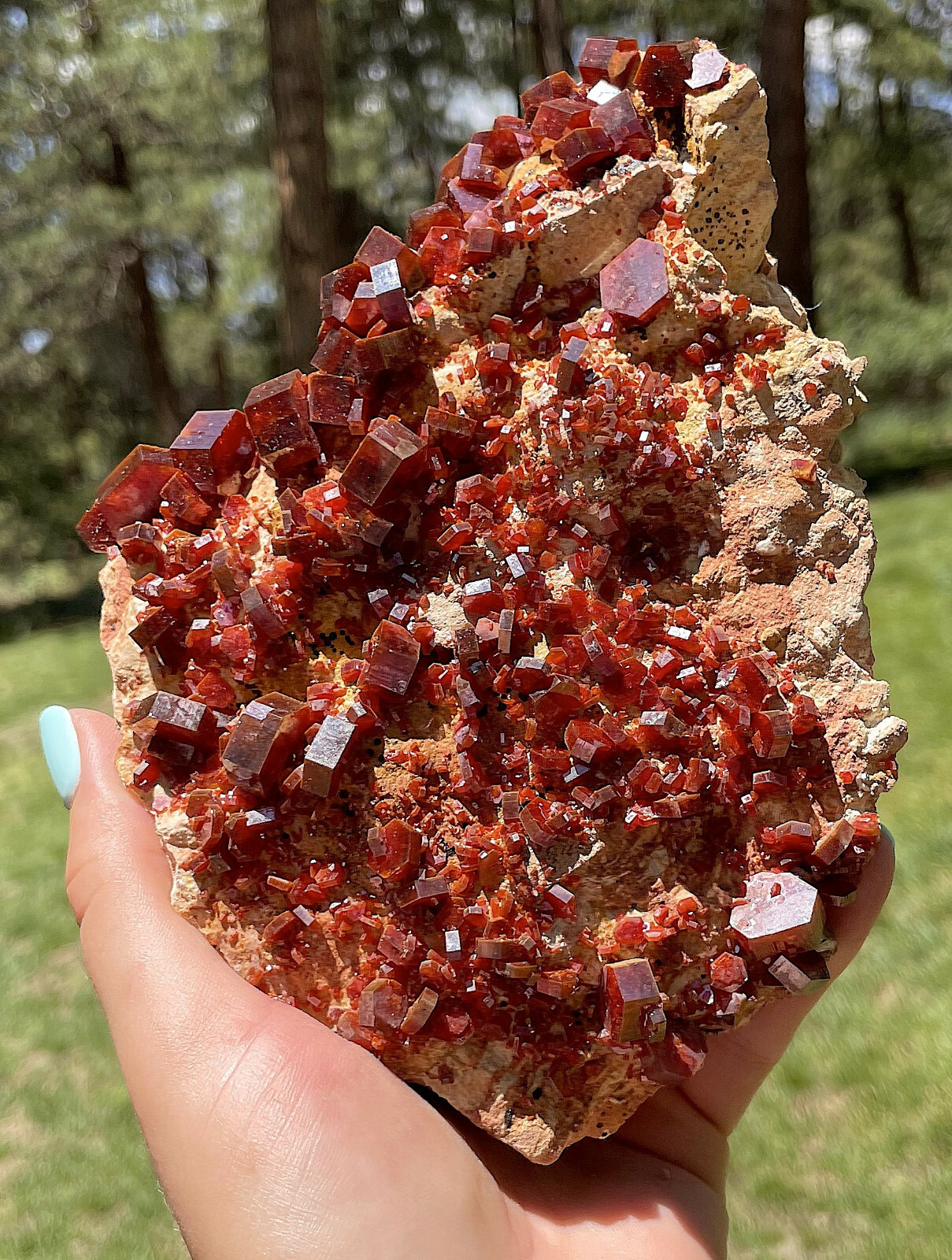 Vanadinite Large Bright Red Crystals On Matrix From Morocco   15.0 Cms