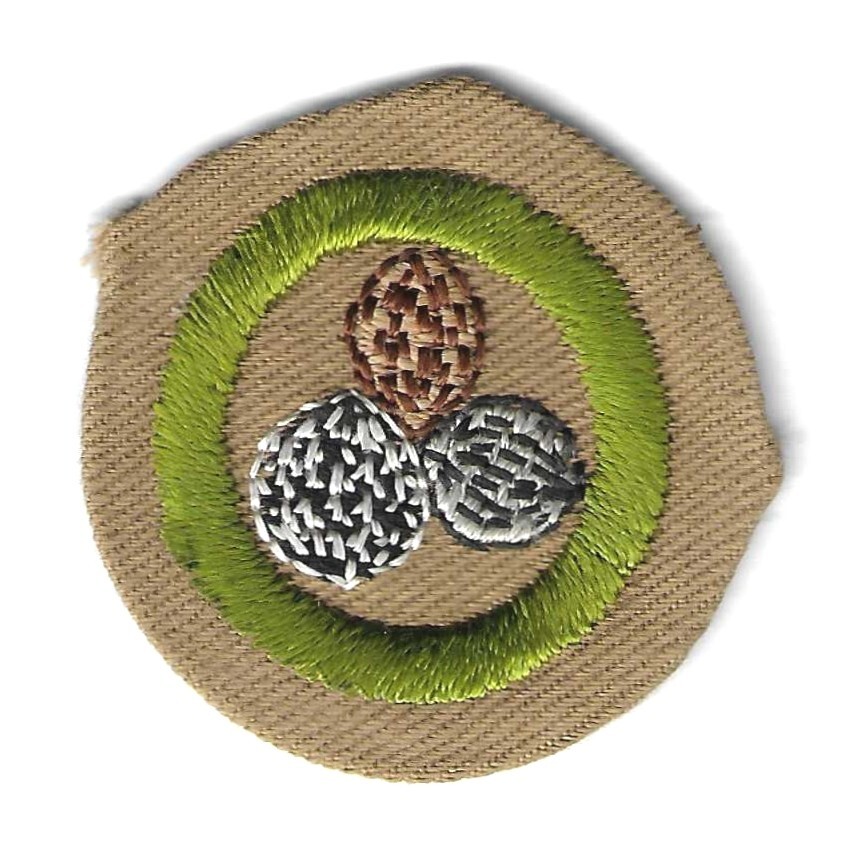 BSA NUT CULTURE MERIT BADGE RARE 1934-35 TYPE B TAN WIDE CRIMP MINT
