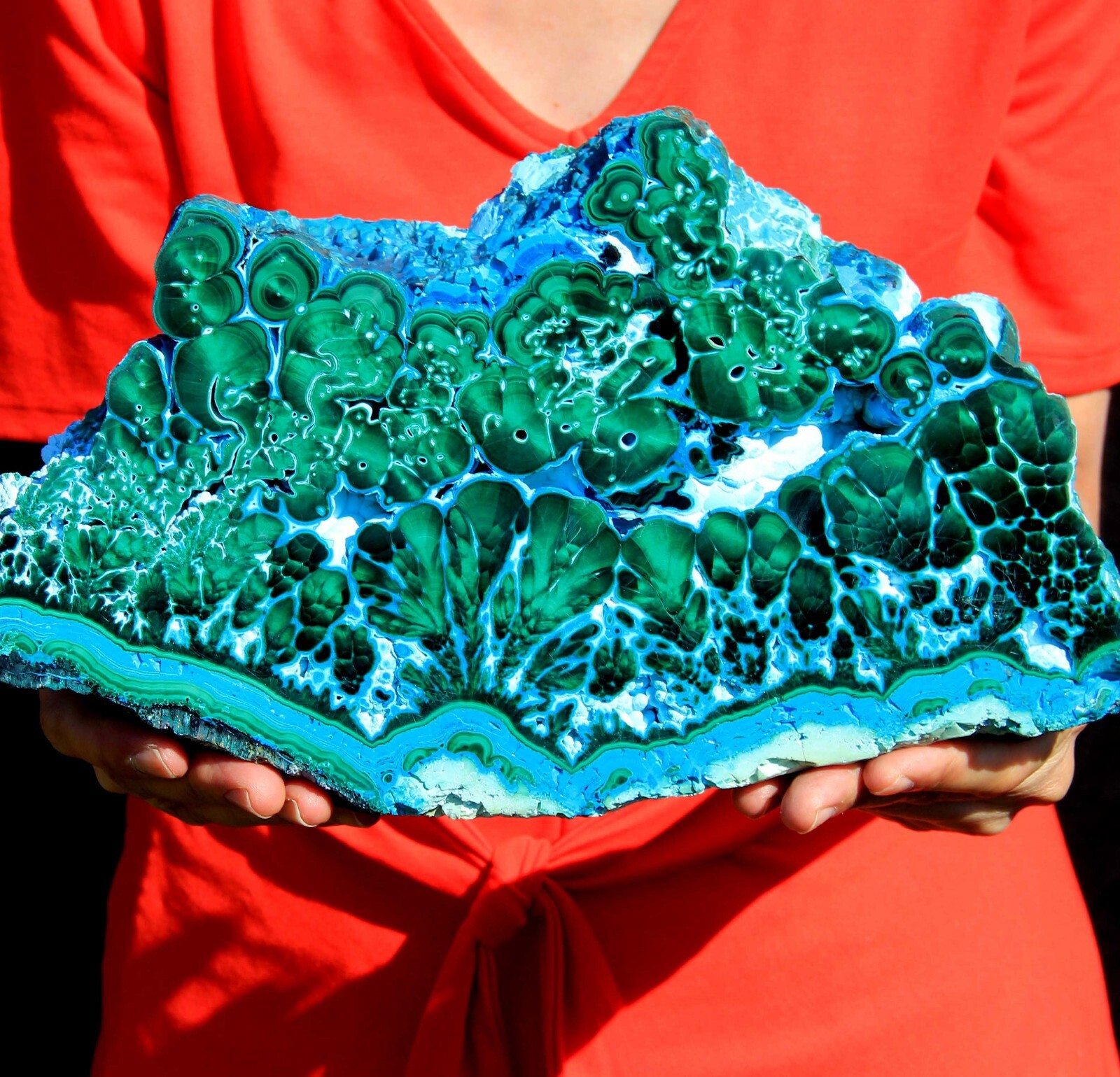 1 Foot Genuine Museum Blue Chrysocolla Malachite Stalactite Slice, Congo CR100 1 Foot Genuine Museum Blue Chrysocolla Malachite Stalactite Slice, Congo CR100