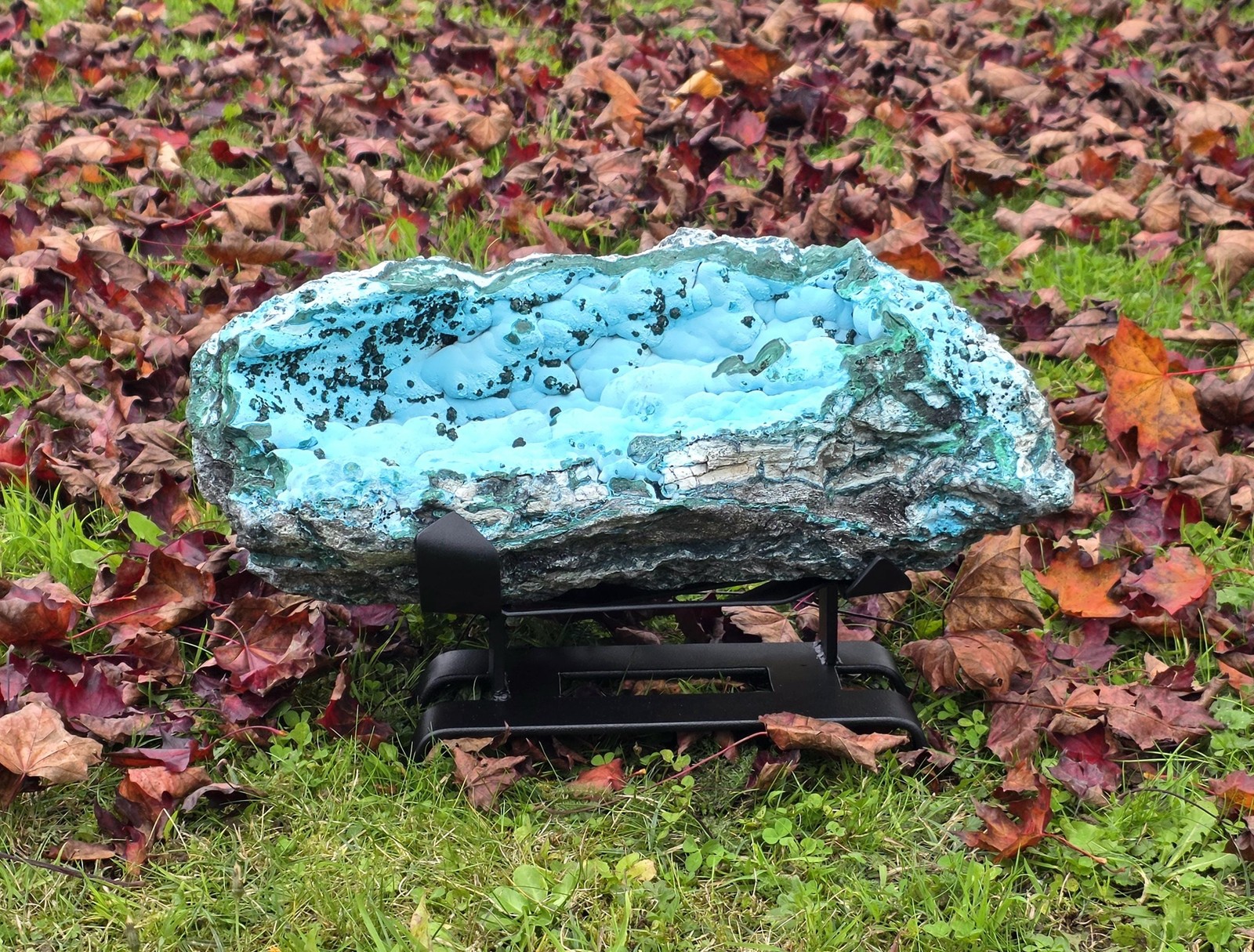 Exceptional XL Chrysocolla with Malachite & Native Copper | 18 kg Display Exceptional XL Chrysocolla with Malachite & Native Copper | 18 kg Display
