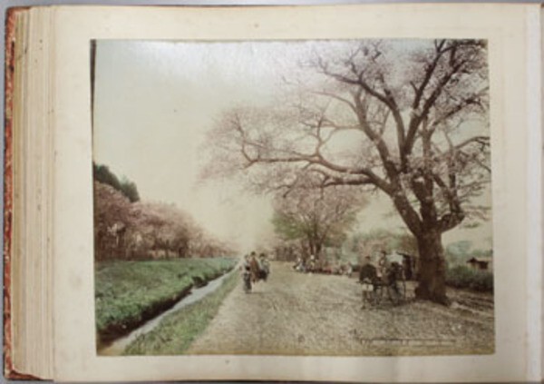 Japanese Landscapes Photo Album Book 47 Hand-Tinted Photographs Kusakabe Kimbei Japanese Landscapes Photo Album Book 47 Hand-Tinted Photographs Kusakabe Kimbei