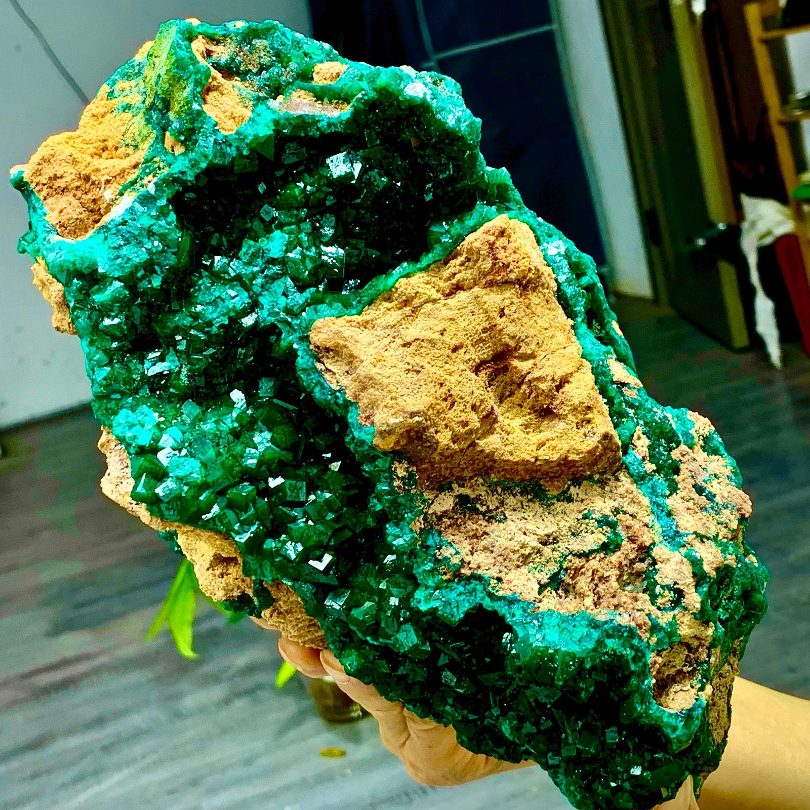 11.44LB Natural green dioptase emerandine gemstone cluster mineral specimen