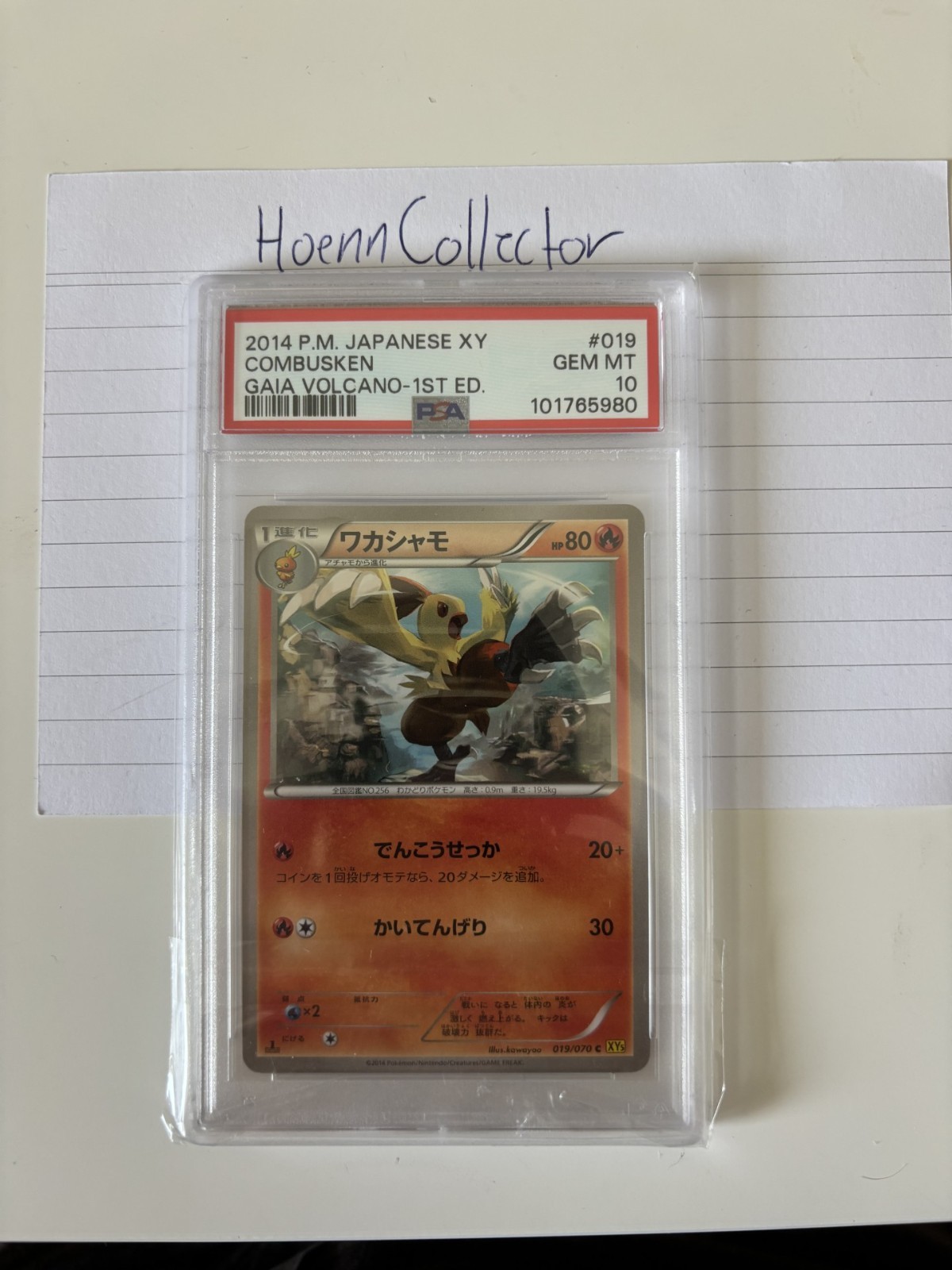 2014 Pokemon PSA10 (Pop 1) JPN XY Gaia Volcano 1st Ed #019 Young Ember / Combusken 2014 Pokemon PSA10 (Pop 1) JPN XY Gaia Volcano 1st Ed #019 Young Ember / Combusken