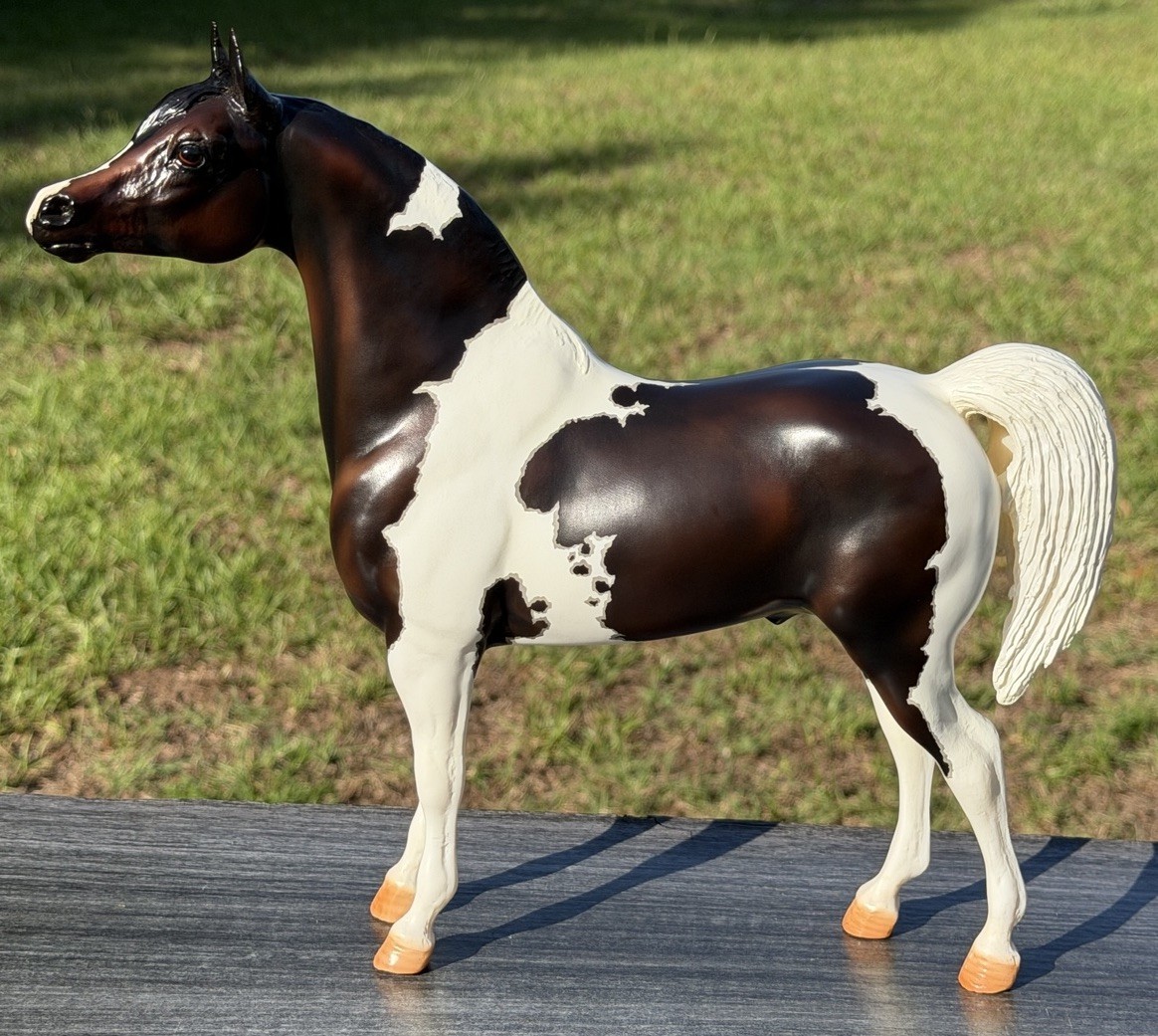 Breyer BreyerFest 2015 Raffle Model Que Sera Sera Proud Arabian Special Run Breyer BreyerFest 2015 Raffle Model Que Sera Sera Proud Arabian Special Run