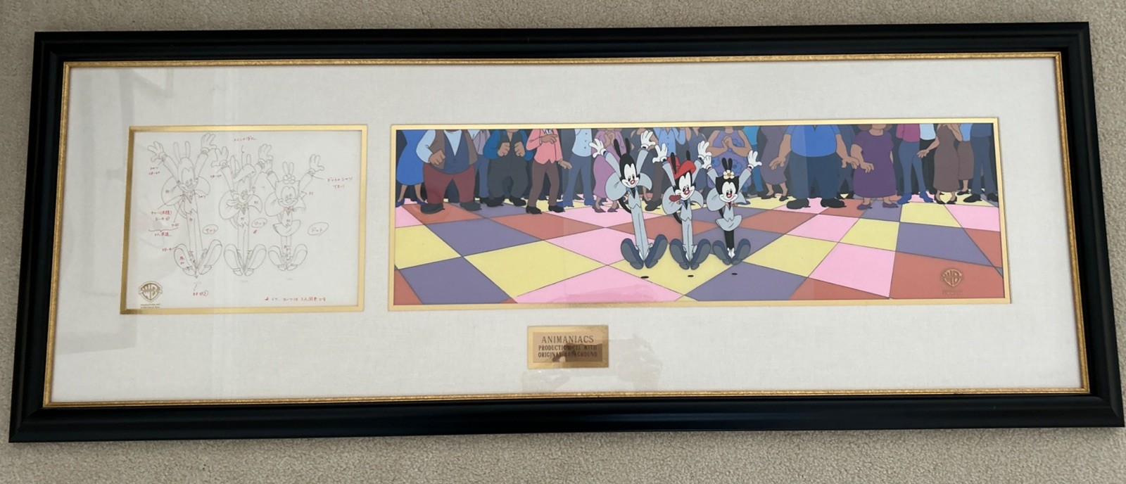 Original Animaniacs Animation Art Cel Production background Original Drawing