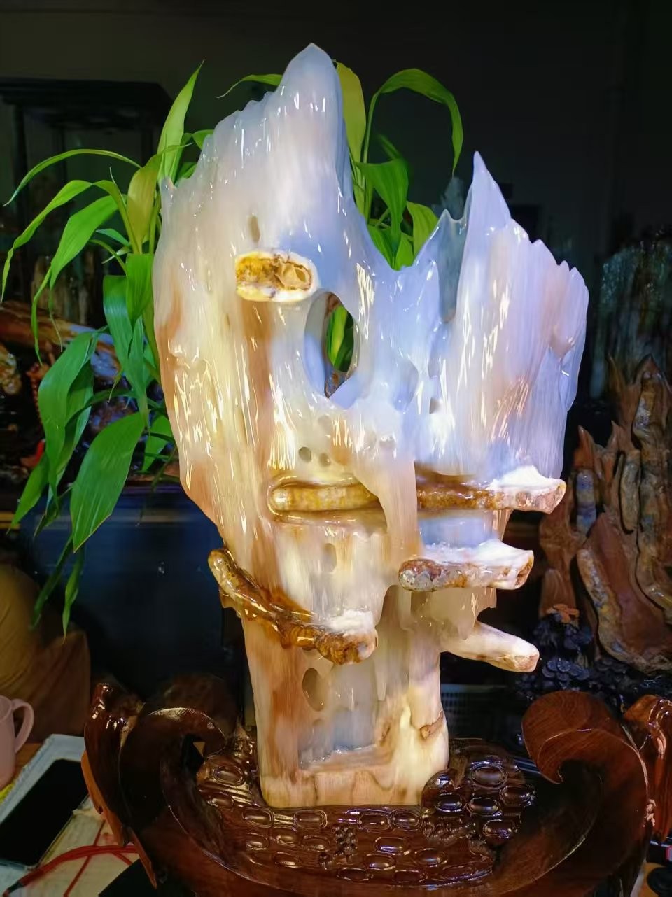 25.3LB Rare BEST Natural Petrified Wood Fossil Jade Collector insect specimen 25.3LB Rare BEST Natural Petrified Wood Fossil Jade Collector insect specimen