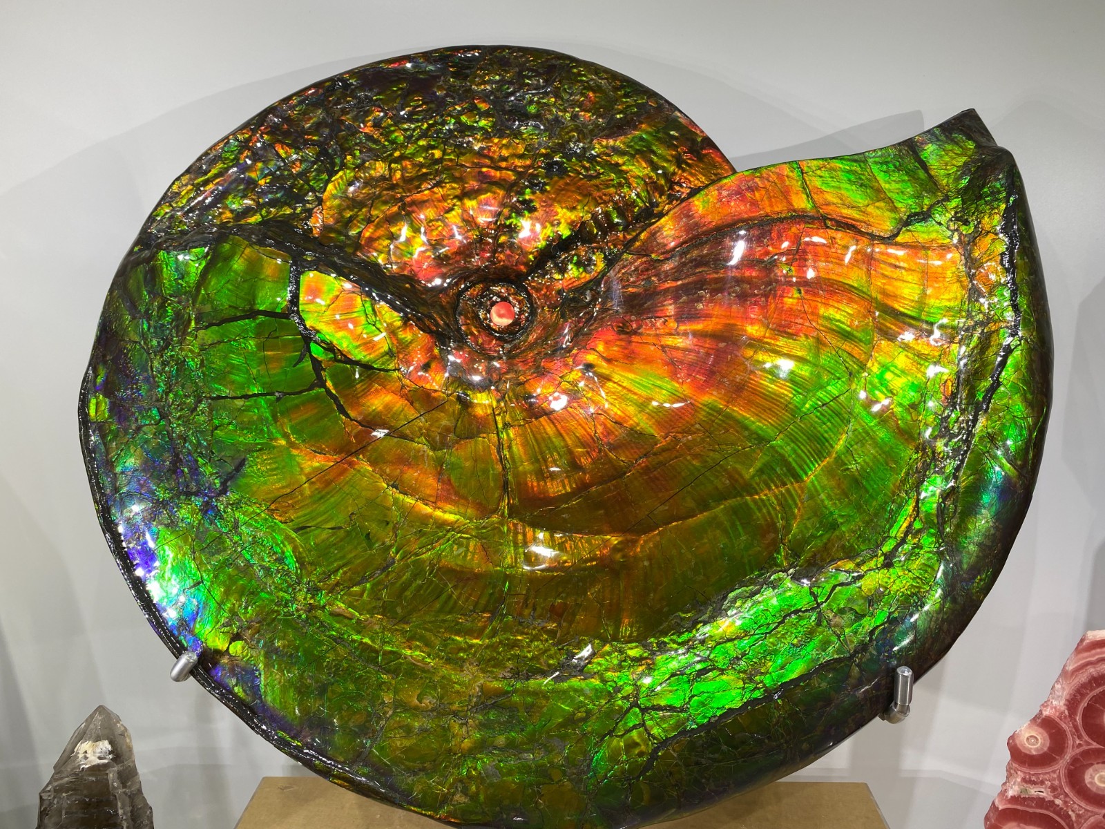 25.3LB Natural Rainbow Ammolite Fossil Quartz Crystals Mineral Canada Rough Gem