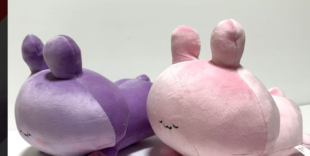 Asamimi chan Anemimi chan Arm cushion set used Asamimi chan Anemimi chan Arm cushion set used
