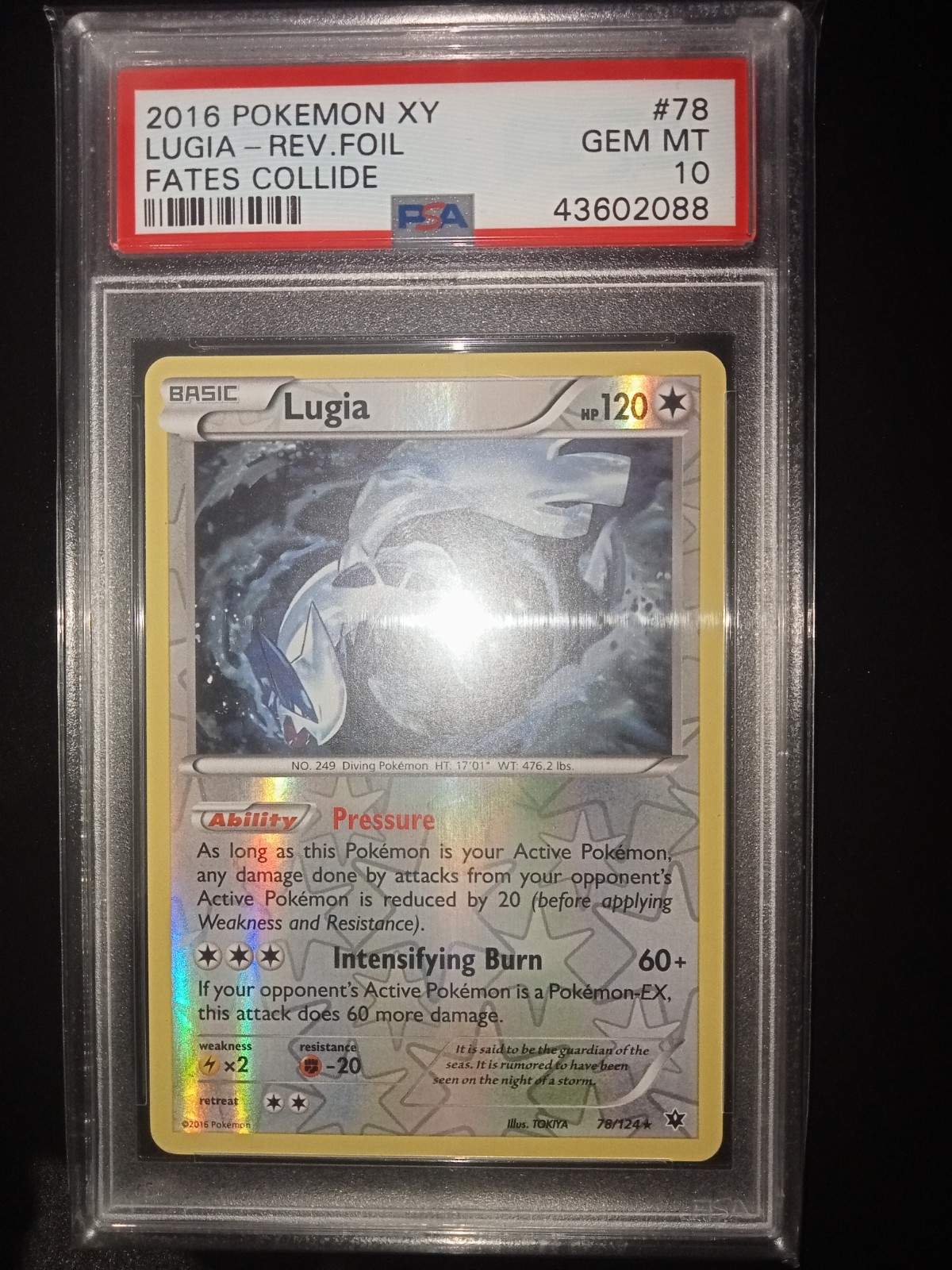 Pokemon PSA 10 Lugia Reverse Holo XY Fates Collide #78 POP 30 READ DESCRIPTION Pokemon PSA 10 Lugia Reverse Holo XY Fates Collide #78 POP 30 READ DESCRIPTION