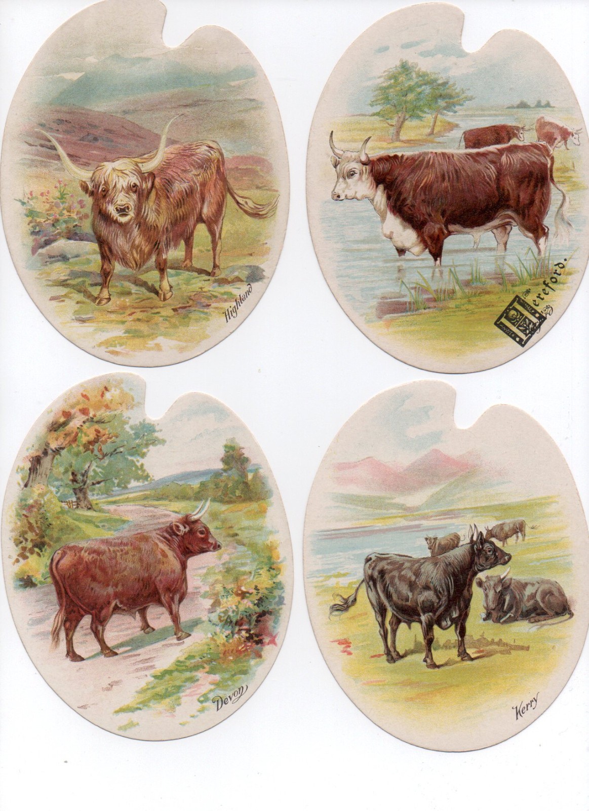 VERY RARE LIEBIG OXEN FIGURE VERY RARE LIEBIG OXEN FIGURE