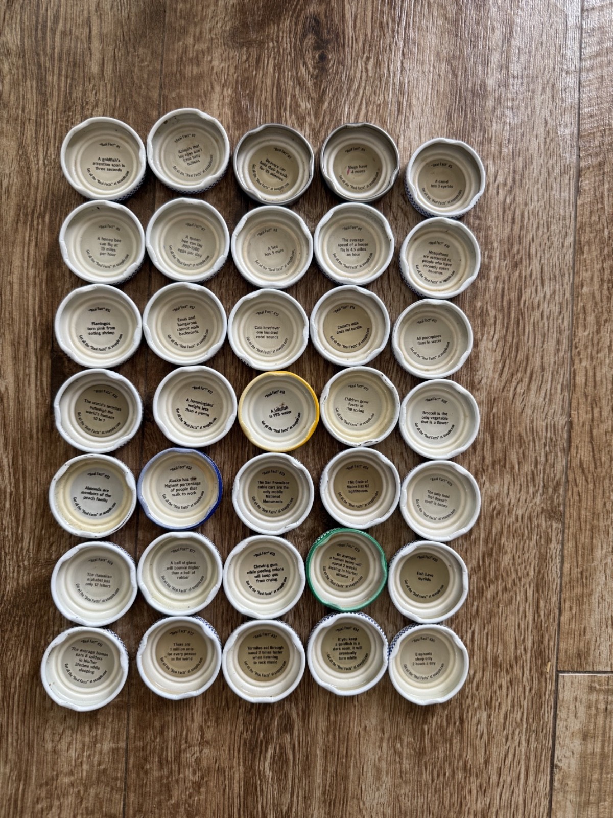 Rare Snapple Caps Complete Set #1–35 – Original “Real Facts” – Collectible Lot Rare Snapple Caps Complete Set #1–35 – Original “Real Facts” – Collectible Lot