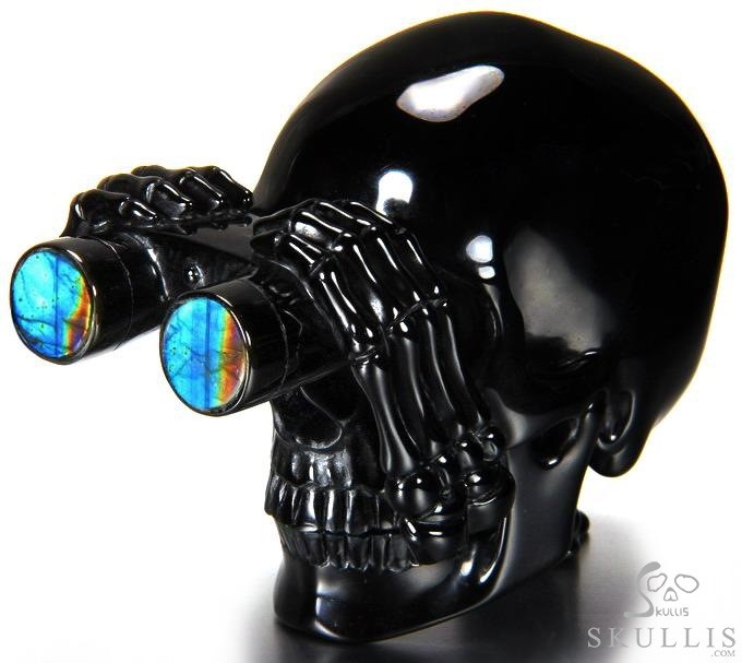 July 10, 2014 ACSAD (A Crystal Skull a Day) - Looking to the Future - Black