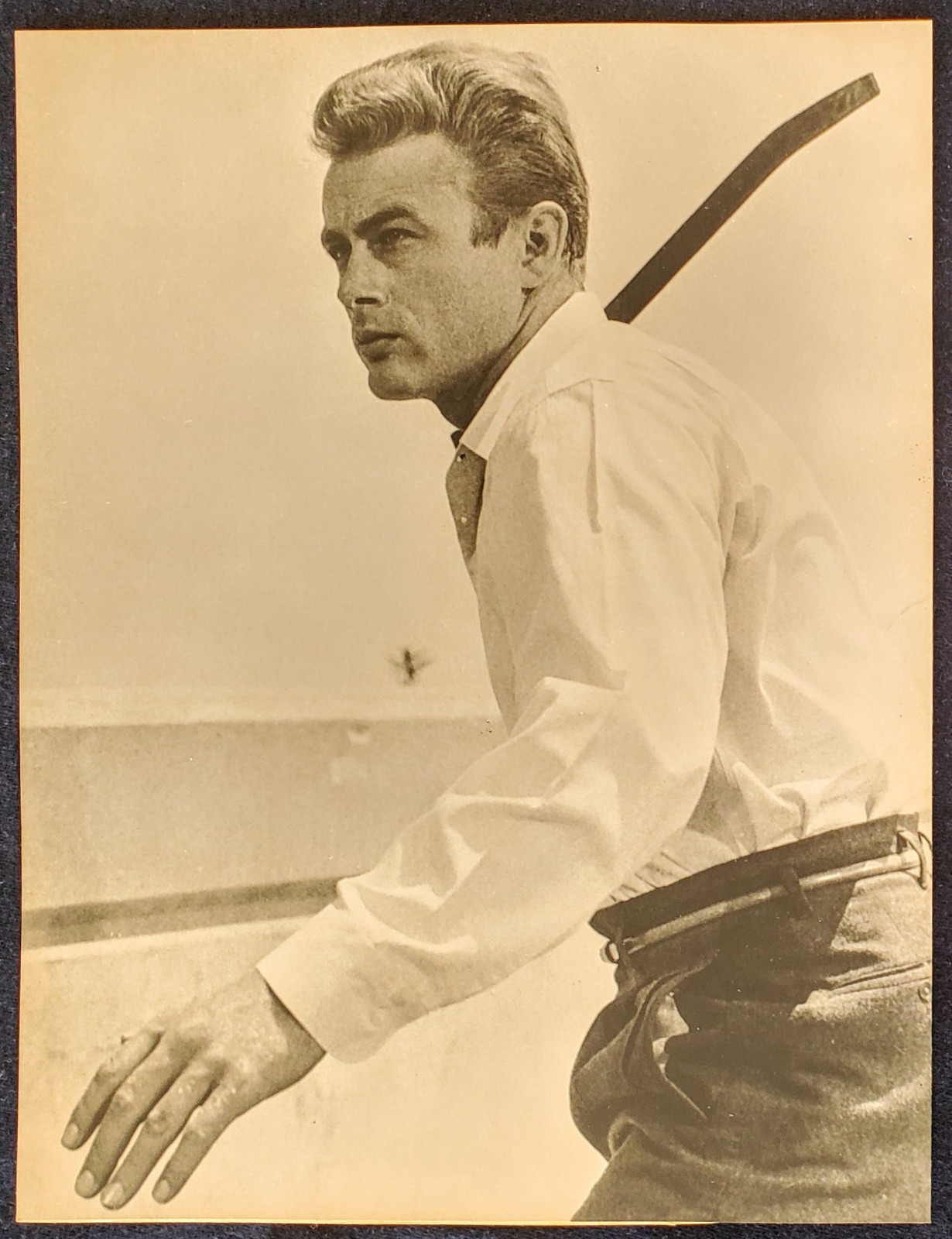 1955 James Dean Rebel Without A Cause Floyd McCarty Warner Bros MOMA 8x9 Photo