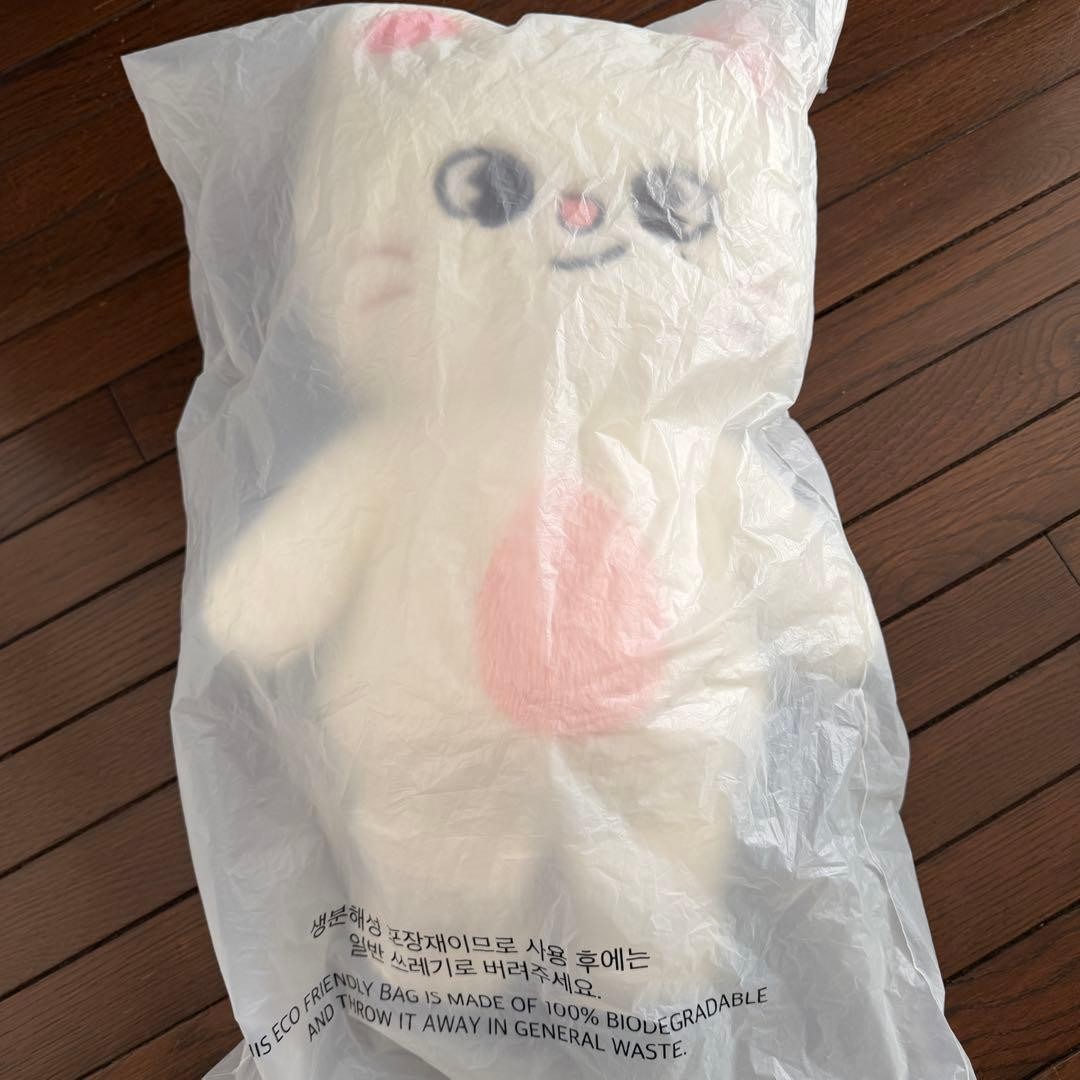Stray Kids Skiz Teddy Bear Plush SKZOO Genielet