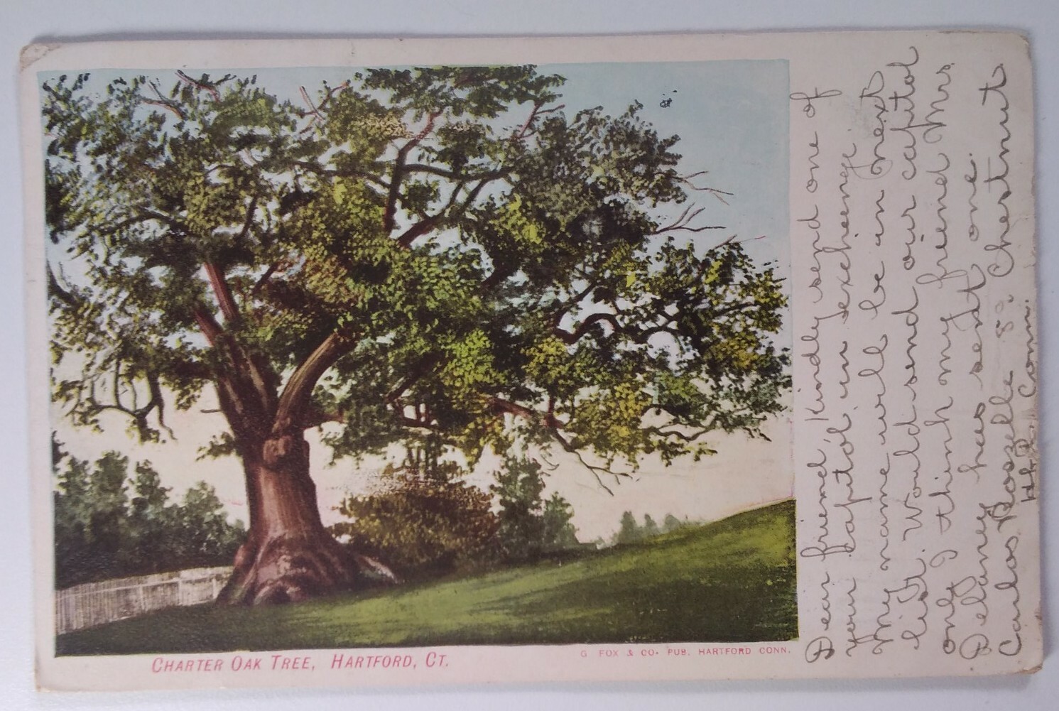 Connecticut Postcard 1906 Original Rare Hartford Charter Oak Tree Franklin Stamp